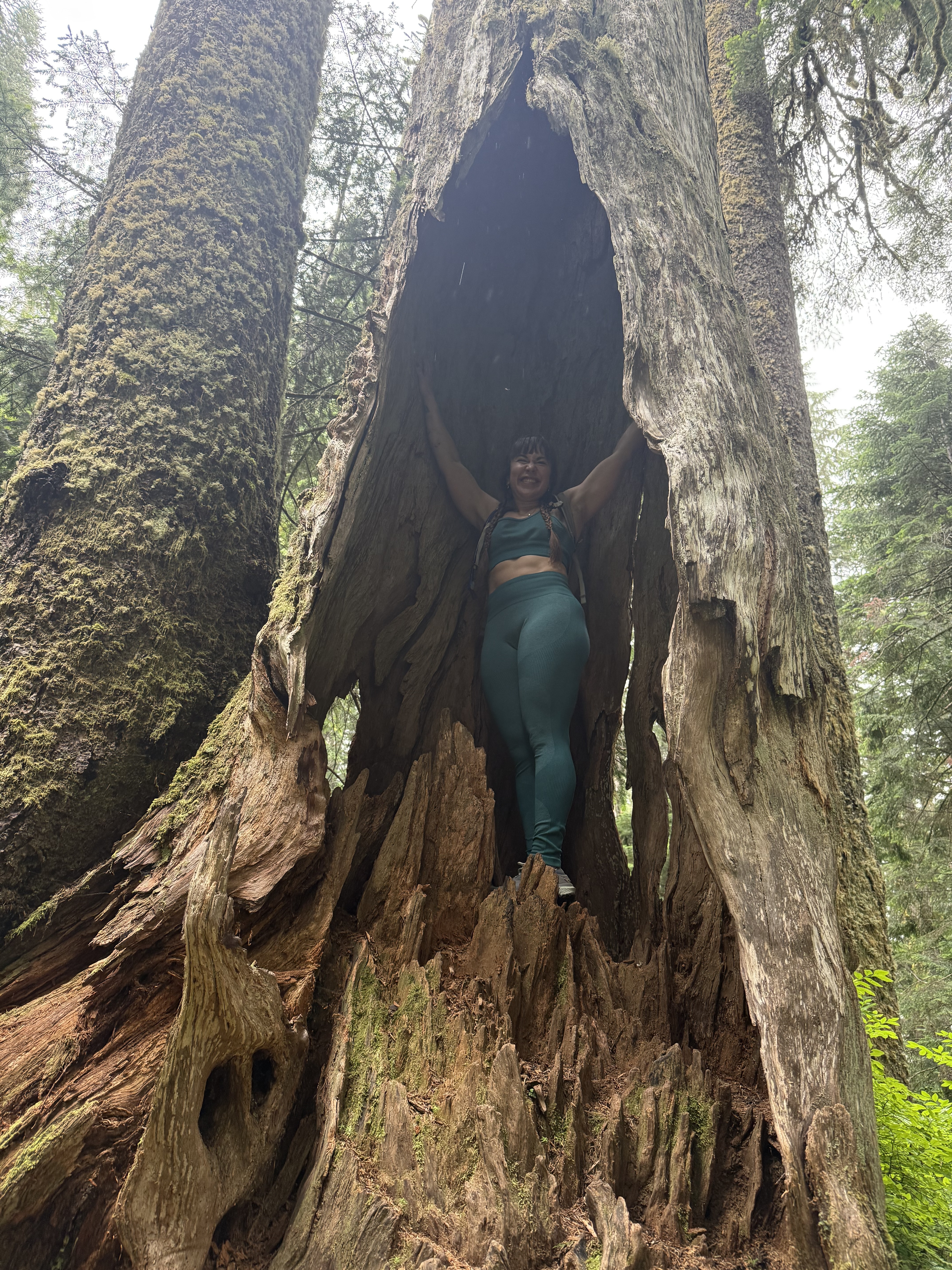 Mars standing arms raised inside a hollowed ancient cedar tree in a lush forest